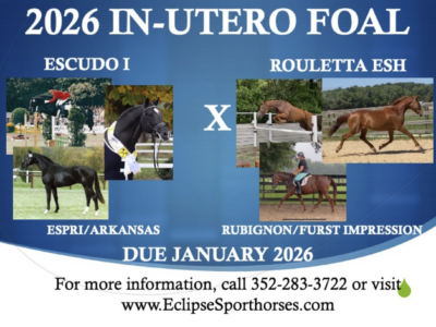 ROULETTA '26